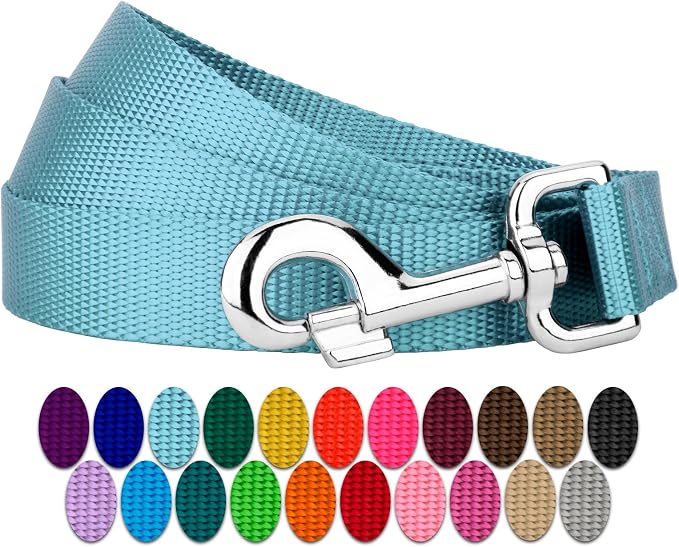 Country Brook Petz - Everyday Nylon Dog Leash - Strong, Durable, Solid Color Leash with Easy to Use Snap - 25+ Colors (1 Inch Wide, 6 Foot, Ocean Blue)