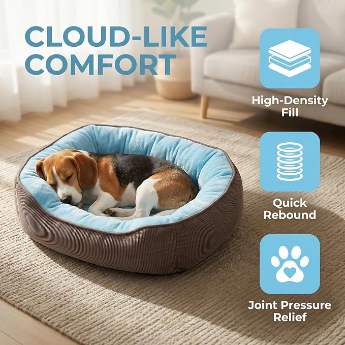 Calming Dog Bed for Medium to Large Dogs 30"x21" - Orthopedic Washable Pet Bed with Anti-Slip Bottom, Indoor Soft Cat Bed with Removable Cover (Sky Blue)
