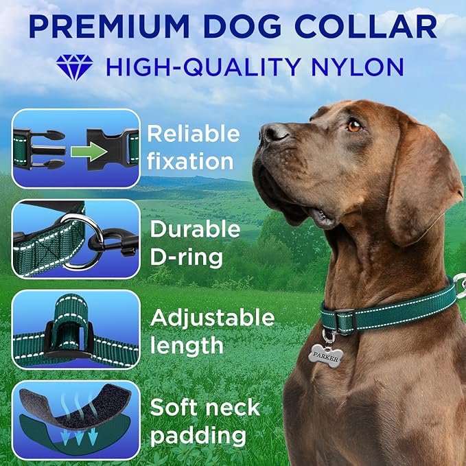 TECEUM Reflective Dog Collar – Dark Emerald Green – M – Extra Soft Padding – Basic Nylon Pet Collar – Quick Release Buckle – Fits Small, Medium and Large Dogs, Puppies, Cats