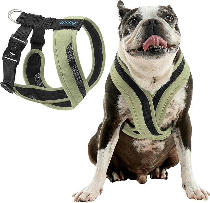 Gooby Comfort X One Dog Harness - Head-in Dog Harness for Small & Medium Sized Dogs - Escape-Free & Choke Free - Breathable Mesh, Shock Absorbing, Easy Snap & Swivel Buckles - Portland Green, Small