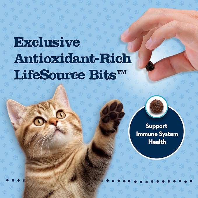 Blue Buffalo Baby Blue Natural Kitten Dry Cat Food, Healthy Growth Formula with DHA, Chicken and Brown Rice Recipe, 2-lb Bag