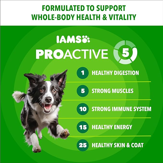 IAMS Proactive Health Adult Minichunks Dry Dog Food Chicken & Whole Grain Recipe, 5 lb. Bag