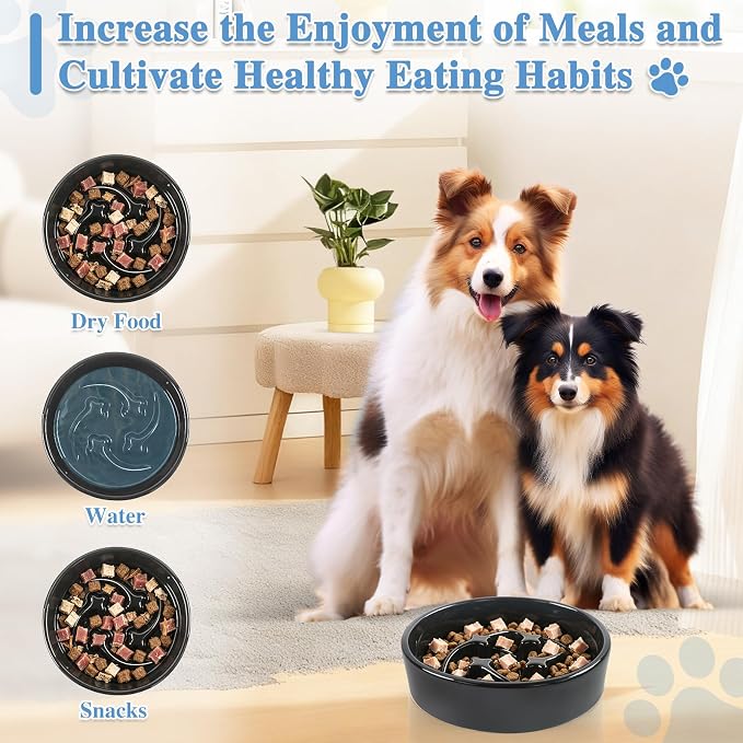 Ceramic Slow Feeder Dog Bowls, 1 Cups Dog Food Dish for Small and Medium Breed, Puzzle Dog Food Bowl for Fast Eater, 15OZ, 6.3 inch(Black)