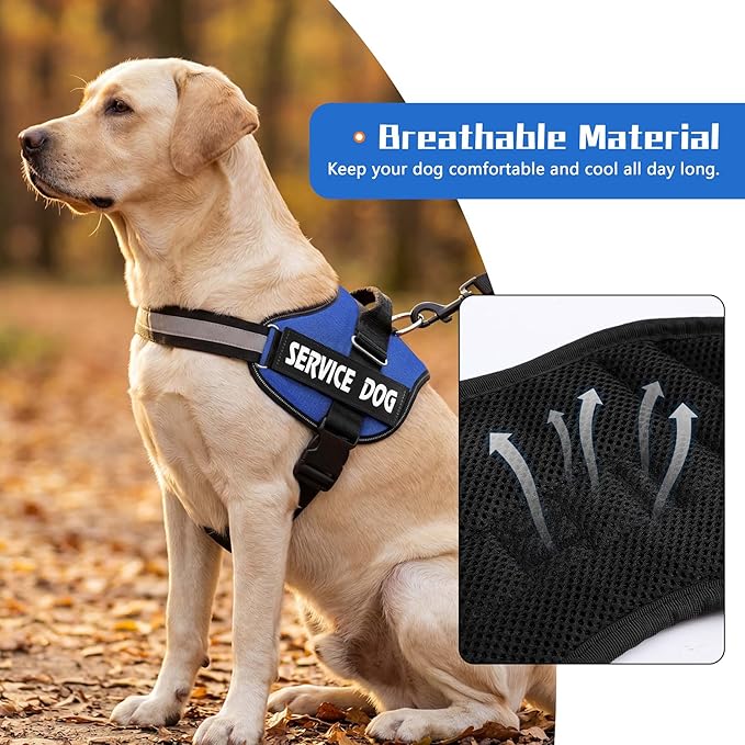MUMUPET Service Dog Vest, No Pull Reflective Adjustable Harness with Handle, Soft Breathable Padding for Medium Dogs, 2 Removable Velcro Patches (Blue, M)