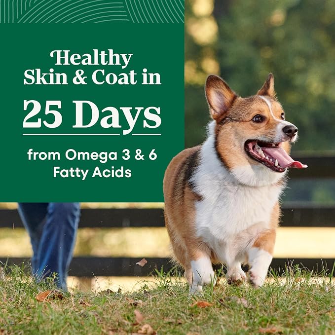 Nutro Natural Choice Small Bites Dry Dog Food, Adult Dog Food Dry Lamb & Brown Rice Recipe, 5 lbs.