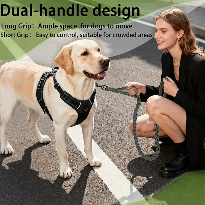 FOVRLZSE Reflective Bungee Dog Leash for Small Medium Large Dogs - 4FT to 5FT Adjustable Shock Absorbing Leash with Double Padded Handle & 360 No Tangle Metal Clasp (Olive Green)