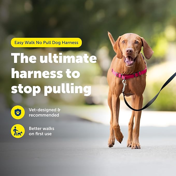 PetSafe Easy Walk No-Pull Dog Harness - Ultimate Harness to Help Stop Pulling - Pull-Free Walks - Take Control & Teach Better Leash Manners - Patented Martingale Loop Design - Purple, Medium/Large