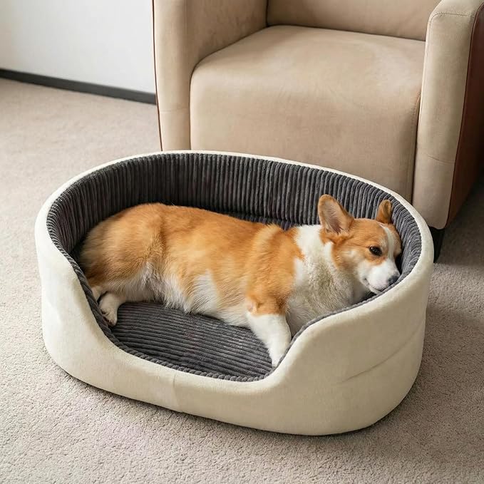 Small Dog Bed Cat Bed 16x20 Inch, Calming Pet Bed for Dogs & Cats, Machine Washable Dog Bed, Half-Enclosed Open-Top Velvet Anti-Anxiety Bed, Cozy Snuggle Bed (White)