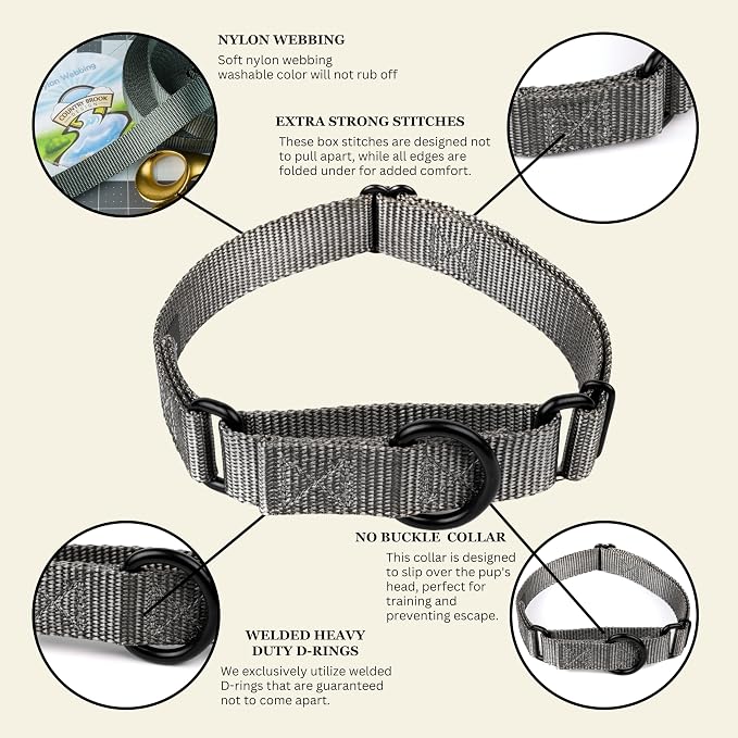 Country Brook Petz - Martingale Dog Collar - Heavy-Duty Training Collar with No Buckle - Service Dog Collar for All Pups - 20 Vibrant Colors (Charcoal, 5/8 Inch, Extra Small)