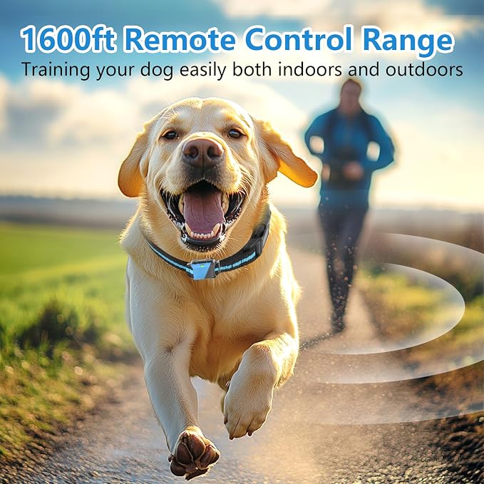 Shock Collar for Dogs, Dog Training Collar with Remote Control for 2 Dogs, 3 Training Modes with Beep, Vibration and Satic, Waterproof, Rechargeable for Large Medium