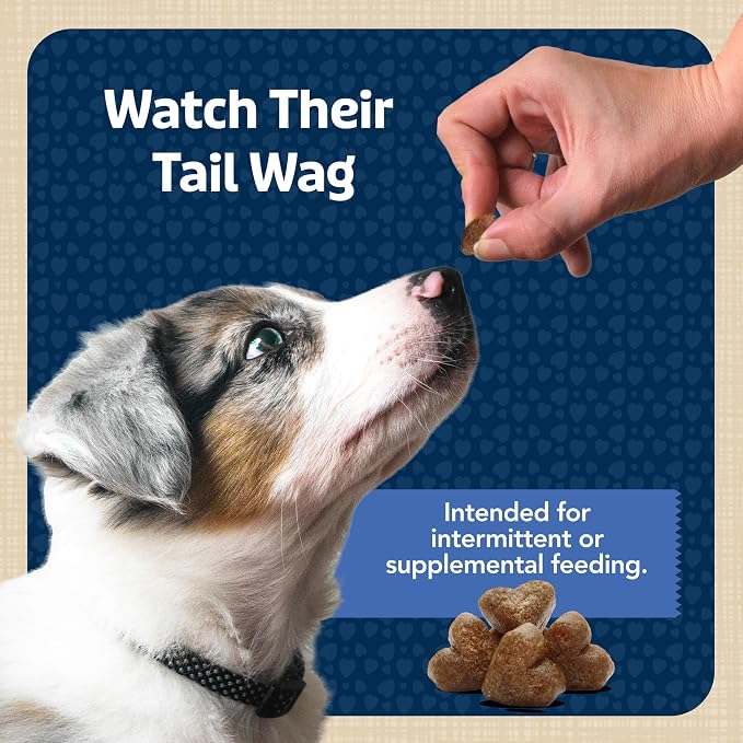 Blue Buffalo Bits Chicken Soft & Chewy Dog Treats, Bite-Sized for Training, Made with Real Chicken & Enhanced with DHA, Heart-Shaped Dog Treats, Made in the USA with Natural Ingredients, 19 oz.