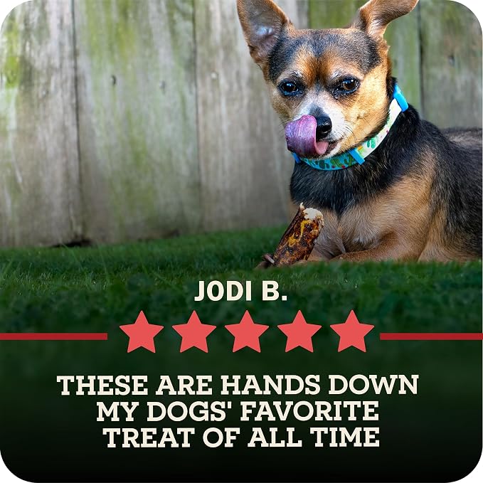 Redbarn Pet Products All-Natural Rawhide Bully Slices - Bully Stick Flavor - Premium Grain-Free Beef Hide Treats High Protein Low Fat for Chewers - 9 oz Bag