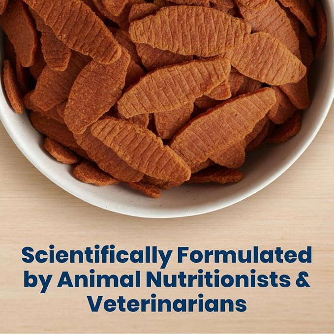 Blue Buffalo Nudges Chicken Jerky Cuts Natural Dog Treats, Tender & Meaty Dog Snacks, Healthy Reward or Training Treat, Made in the USA with Real Chicken, No Artificial Preservatives, 36 oz.