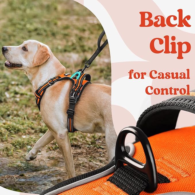 rabbitgoo Dog Harness for Large, No Pull Easy On & Off with 3 Buckles Pet Harness, Adjustable Soft Walking Vest with 2 Clips and Handle, Reflective for Extra Large Dogs, Orange, XL