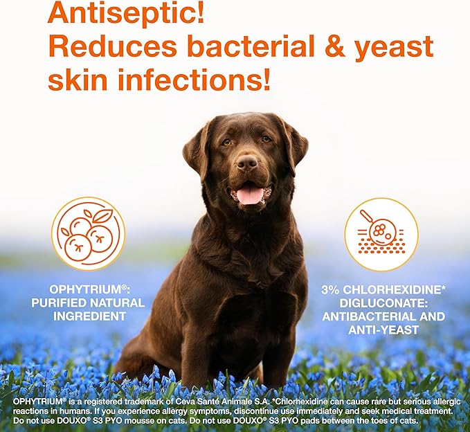 Douxo S3 PYO Medicated Dog Shampoo with 3% Chlorhexidine for Dogs – Antibacterial & Antiseptic Yeast Infection Treatment For Dogs & Cats, Clinically Proven, 6.7 fl oz