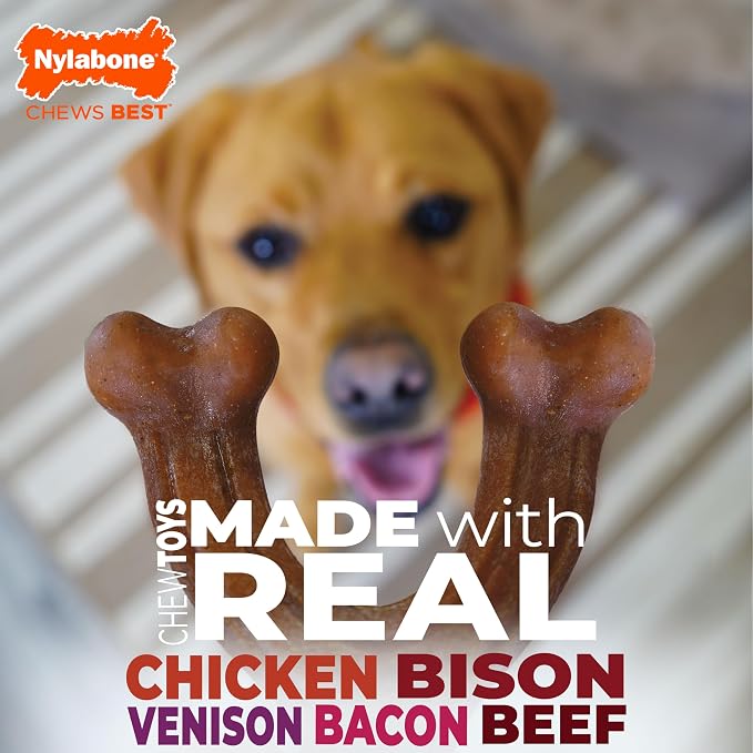 Nylabone Strong Chew Dog Toy 4-Pack Made with Real Bacon, Bison, Venison, Beef, & Chicken, Durable Chew Toys for Aggressive Chewers, Long Lasting Dog Bone, Large Breeds - Up to 50 lbs, 4 Count