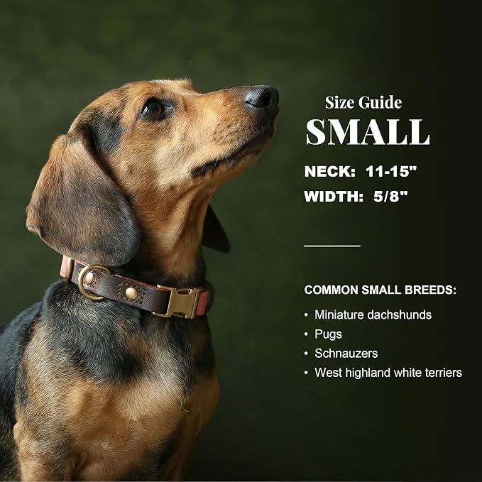 Didog Soft PU Leather Dog Collars for Small Dogs,Classic Adjustable Dog Collars with Quick Release Metal Buckle,Easy Clean and Comfortable with Nylon Lining,Pink,S Neck 11-15"