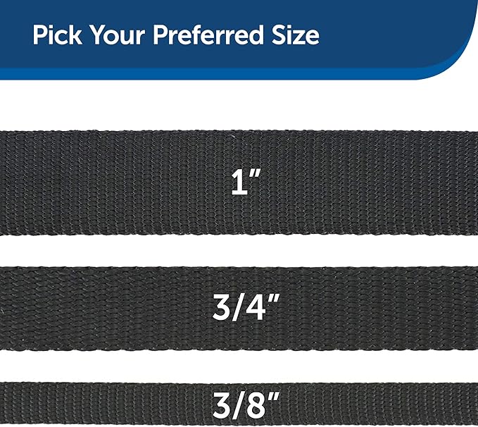PetSafe Nylon Dog Leash Strong, Durable, Traditional Style Lead with Easy to Use Bolt Snap for Small, Medium and Large Dogs 3/4" x 6', Black