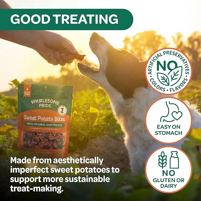 Wholesome Pride Healthy Sweet Potato Bites – Sensitive Stomach Dog Treats, No Preservatives, Single-Ingredient, No Grain, 16 oz