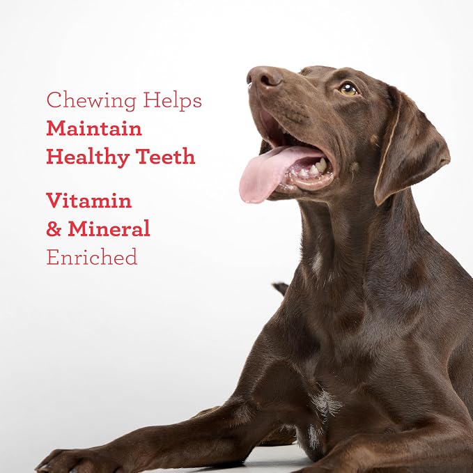 DreamBone Chicken Wrapped Sirloin Twist Stick Dog Treats, Daily Rawhide-Free Chew, Digests Safely and Completely, with Real Protein, Chicken, Sirloin and Veggies, 15 Count