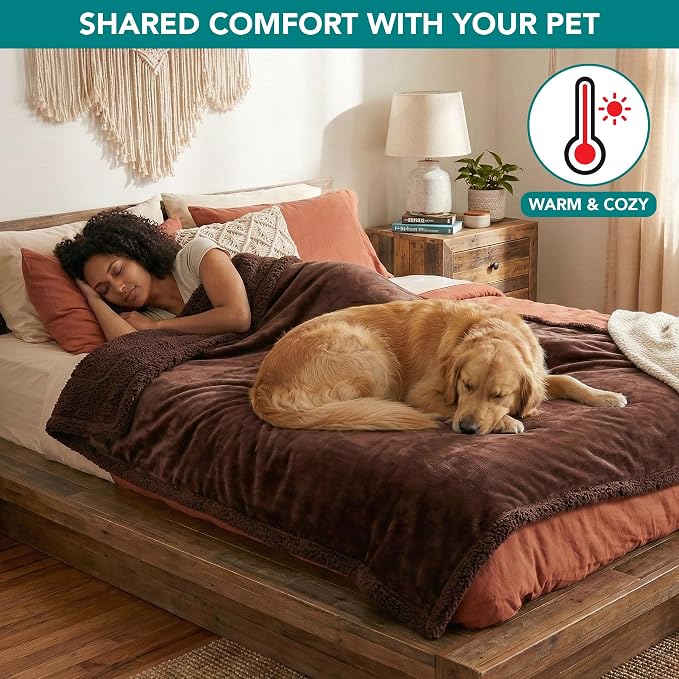 PetAmi Waterproof Dog Blanket for Couch, Extra Large 80x60, Pee Proof Sherpa Fleece Reversible Pet Throw, Furniture Protector for Bed Sofa Crate Kennel, Soft Washable Cover for Dog Cat, Brown Sherpa