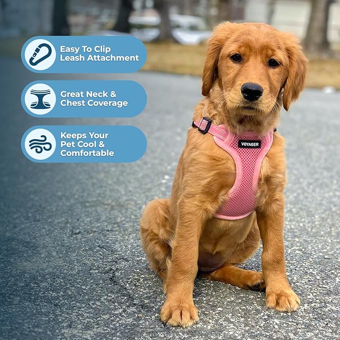Best Pet Supplies Voyager Adjustable Step-in Flex Breathable Mesh Dog Harness for Small Medium Large Dogs (Pink), XL