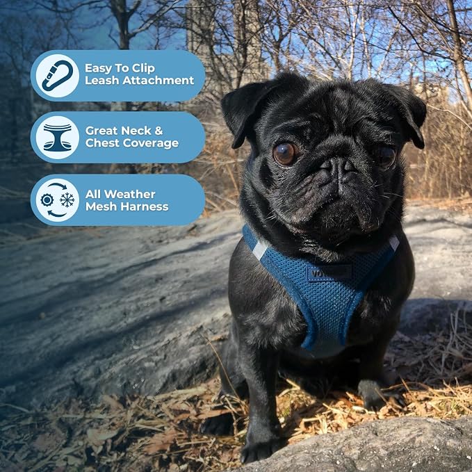Best Pet Supplies Voyager Step-in Air Harness - All Weather Mesh, Reflective, No Pull Harness for Dogs, Cats - Secure with Hook & Loop Fastener, Buckle, Double D-Rings - Blue, S