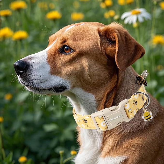 DOGWONG Yellow Bee Dog Collar- Cute Fun Dog Collars Adjustable Designer Spring Puppy Yellowe Dog Collar for Small Medium Large Dogs M