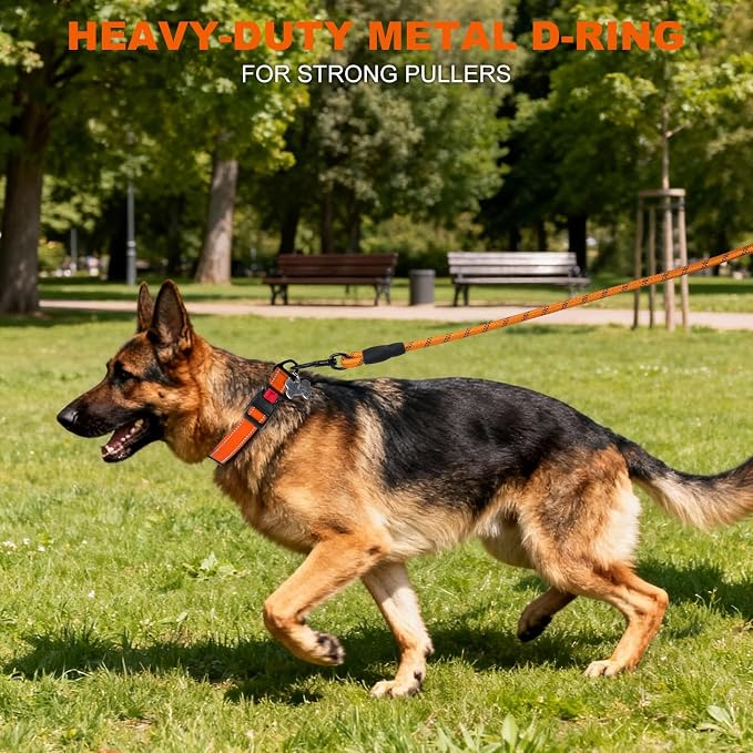 Taglory Reflective Dog Collar for Large Dogs, Soft Neoprene Padded with Escape-Proof Locking Buckle, Upgraded Zinc Alloy Ring, Adjustable for Pitbull Labrador Retriever, Orange,L