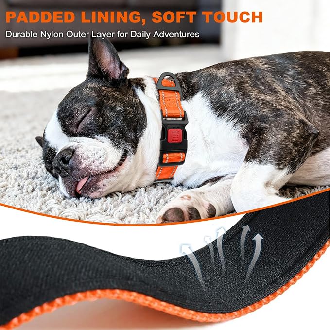Taglory Reflective Dog Collar for Medium Dogs, Soft Neoprene Padded with Escape-Proof Locking Buckle, Upgraded Zinc Alloy Ring, Adjustable for Walking Female Male, Orange,M