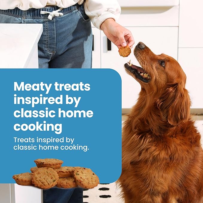 Blue Buffalo Nudges Chicken Homestyle Natural Dog Treats, Pot-Pie-Inspired Recipe, Healthy Reward or Training Treat, Made in the USA with Real Chicken, No Artificial Preservatives, 16 oz.