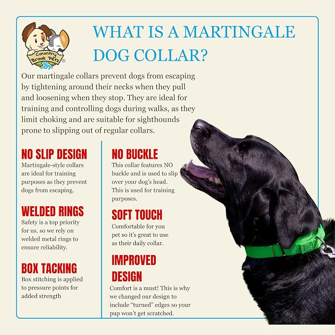 Country Brook Petz - Martingale Dog Collar - Heavy-Duty Training Collar with No Buckle - Service Dog Collar for All Pups - 20 Vibrant Colors (Hot Lime Green, 1 Inch, Extra Large)