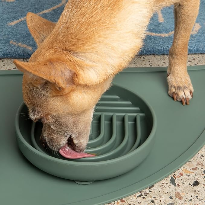 Should We Go? Slow Feeder Dog Bowls - Small Size Silicone Slow Eating Dog Bowl for Puppies & Dogs with Suction Cup -Dishwasher-Safe, Lick Mat Design, Reduces Gulping, for All Breeds, 6”x1.25”- Spruce