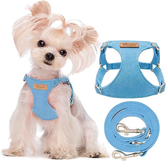 Puppytie xs Dog Harness with Multifunction Dog Leash,Soft Adjustable No Choke Escape Proof Pet Harness Vest,Ocean Blue,XS
