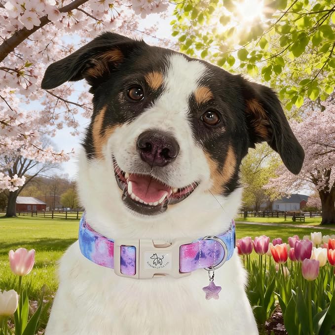 Elegant little tail Dog Collar - Colorful Print Dog Collars Cute Spring Puppy Adjustable Pet Collars with Sturdy Quick Release Buckle for Medium Dogs