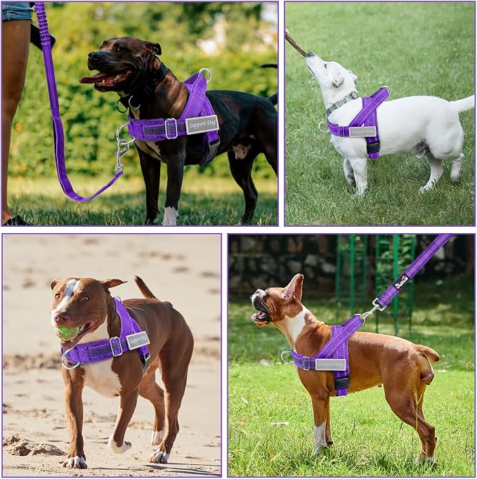 Lukovee No Pull Dog Harness and Leash Set - Adjustable Soft Padded Vest with Front Clip for Easy Control, Reflective Durable Harness for Safe Daily Training Walking for Medium Large Dogs (S, PU)