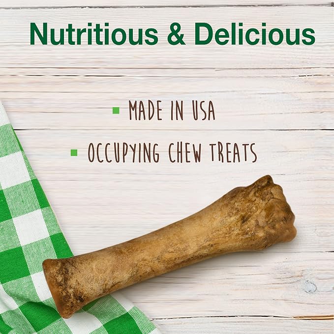 Nylabone Healthy Edibles Natural Dog Chews Long Lasting Bacon Flavor Treats for Dogs, X-Large/Souper, 1 Count (Pack of 2)