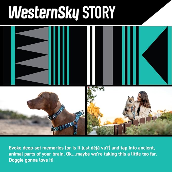 Wolfgang Heavy Duty, Adjustable Dog Collar with Quick Release Nylon Buckle for Walking & Training, WesternSky Print, Small