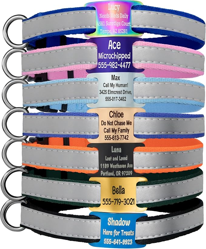 GoTags Personalized Dog ID Tag Collar, Adjustable Nameplate Collar with Custom Engraved Steel Slide On Pet Tag, Silent, No Noise Identification Name Number Many Color Options (Reflective, Large)