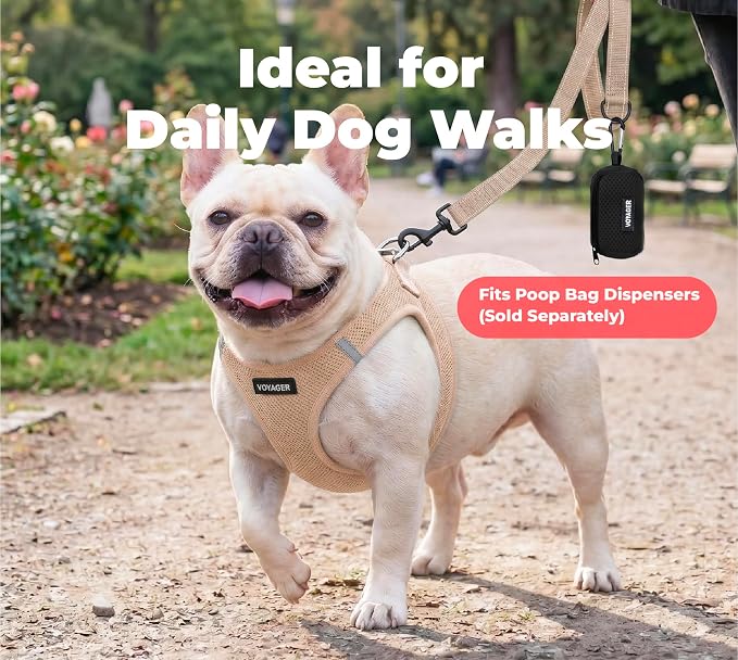 Best Pet Supplies Voyager Reflective Dog Leash or Collar with Neoprene Handle, for Small, Medium, and Large Breed Puppies, Cute and Heavy Duty for Walking, Running and Training - Khaki (Leash), S