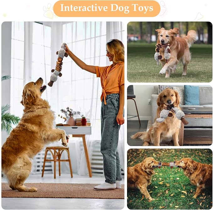Squeaky Dog Toys, Stuffed Large Dog Toys to Keep Them Busy, Interactive Plush Chew Toys with Crinkle Paper, Tough Pet Animal Toys for Small Medium Large (2pack)