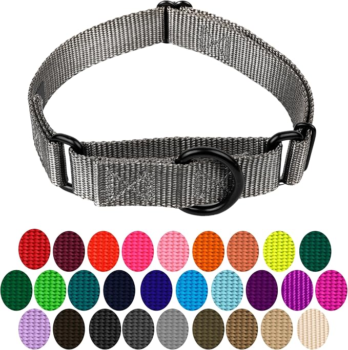 Country Brook Petz - Martingale Dog Collar - Heavy-Duty Training Collar with No Buckle - Service Dog Collar for All Pups - 20 Vibrant Colors (Charcoal, 5/8 Inch, Extra Small)