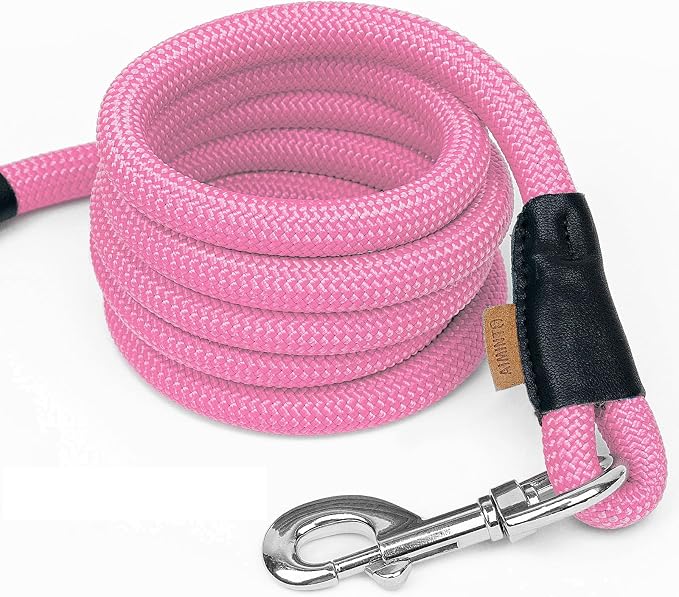 Dog Leash, Braided Rope Traction – Walking Training Lead for Medium/Large Dogs ((1/2") x 6FT, Pink)