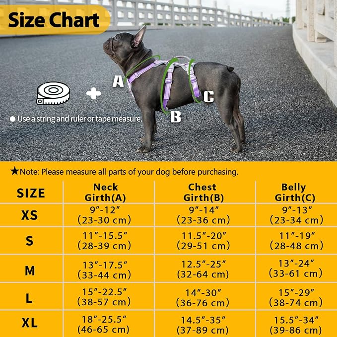 Huntboo Escape Proof Dog Harness, No Pull Reflective Harness with Lift Handle,Adjustable Pet Vest with Front and Back Leash Clips for Small Medium Large Dogs Walking Hiking Training(Lavender Purple,L)