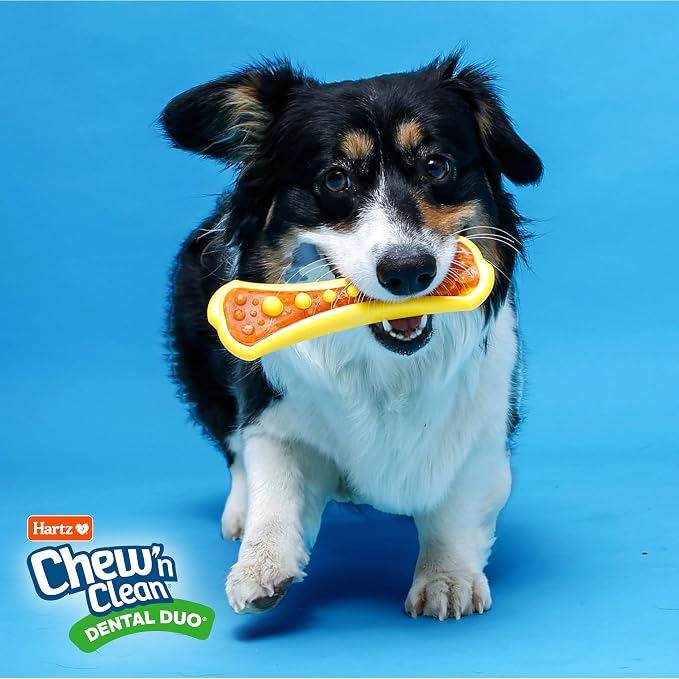 Hartz Chew 'n Clean Dental Duo Bacon Flavored Dental Dog Chew Toy and Treat - Extra Small