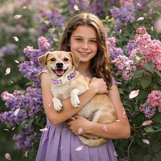 DOGWONG Spring Floral Girly Dog Collar-Cute Floral Daisy Dog Collar, Adjustable Soft Girl Female Dog Collar for Medium Large Dogs, L