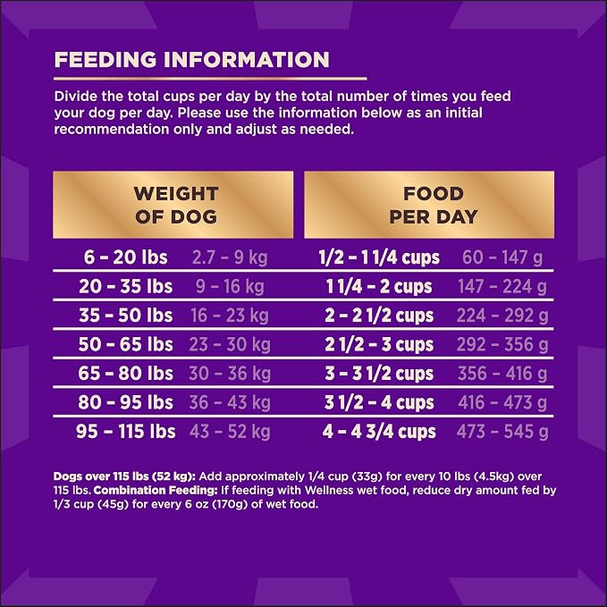 Wellness CORE+ Adult Dry Dog Food with Freeze Dried Pieces, Wholesome Grain Kibble+, Natural, High Protein, Turkey and Chicken Recipe, 4 lb Bag