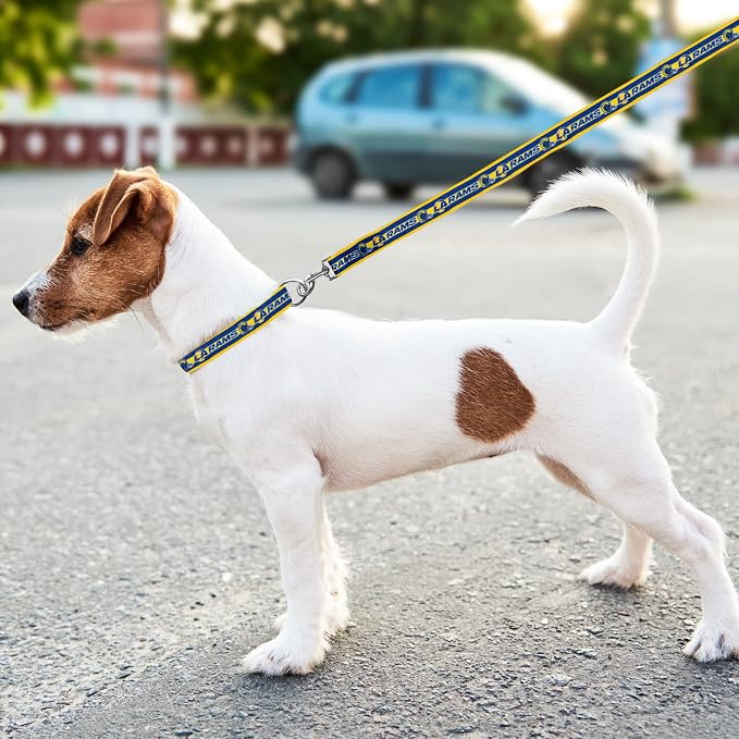 Pets First NFL Los Angeles Rams Licensed PET COLLAR, Medium - Heavy-Duty, Strong, and Durable Dog Collar. Available in 31 Football Teams and 4 Sizes