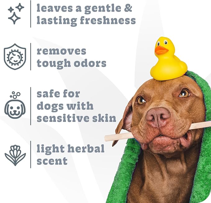 Espree Intense Charcoal Odor Neutralizer Dog Shampoo & Conditioner, Eliminates Stubborn Dog Odors, Plant Based Ingredients, 2 in 1, Charcoal-Infused Odor Neutralizer for Dogs, Cruelty-Free, 20oz