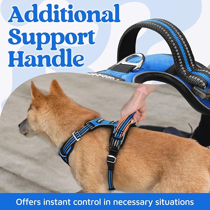 rabbitgoo Dog Harness for Large Dogs, 3 Buckles Easy On & Off No Pull Pet Vest, Soft Padded Walking Pet Harness with Control Handle, Adjustable and Reflective, Blue, L